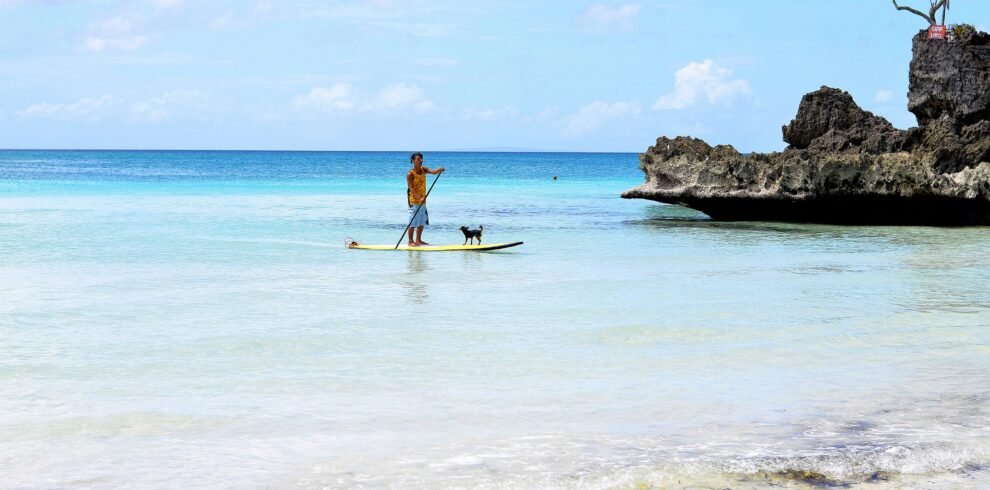 laurentiu-morariu-xIWLQ2HbQCA-unsplash